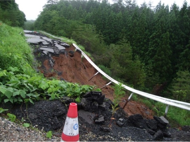 2025年度の活動の写真